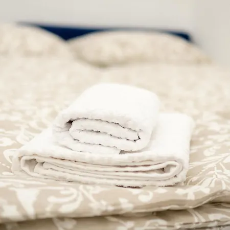 Mm New Cozy Modern